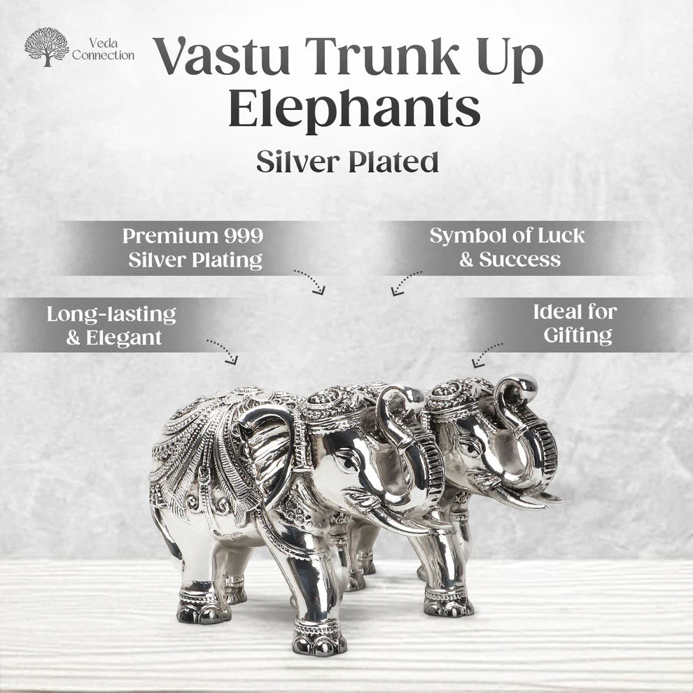 Vastu Trunk Up Elephants Idol Set of 2 Antique Silver Plated