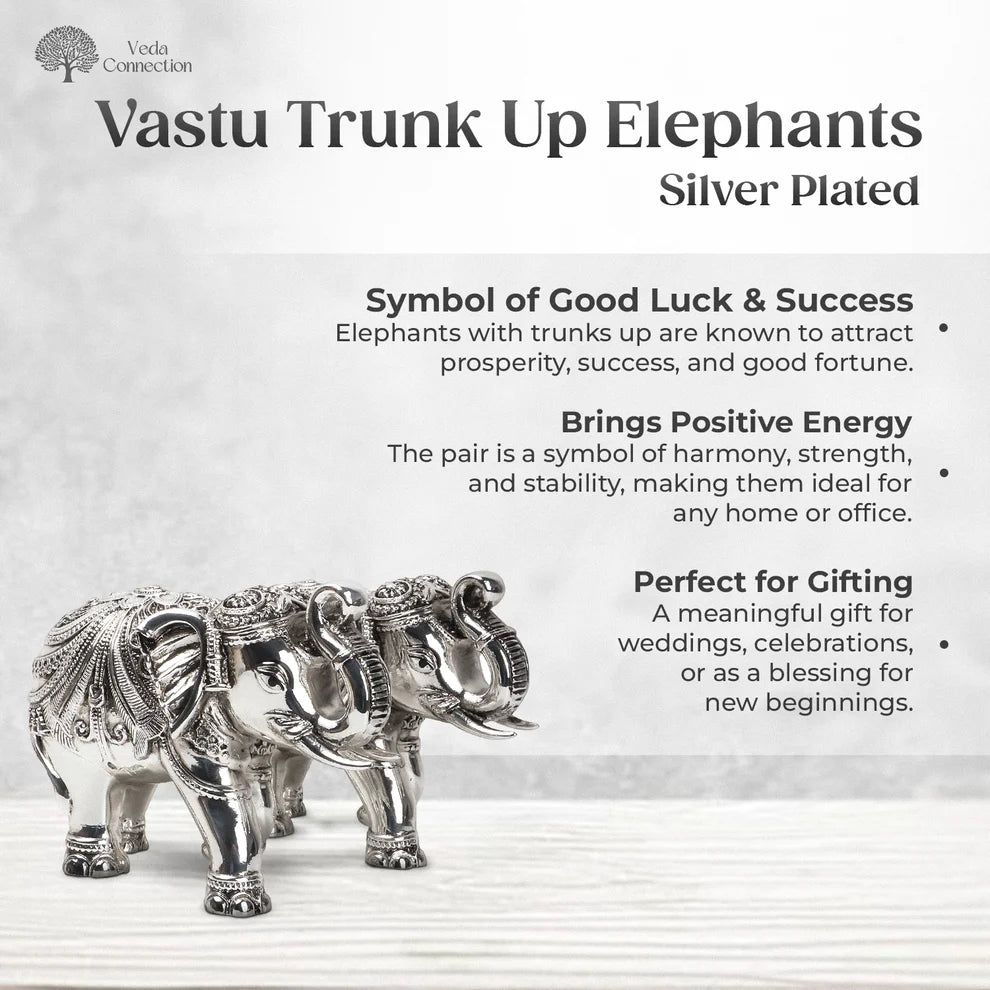 Vastu Trunk Up Elephants Idol Set of 2 Antique Silver Plated