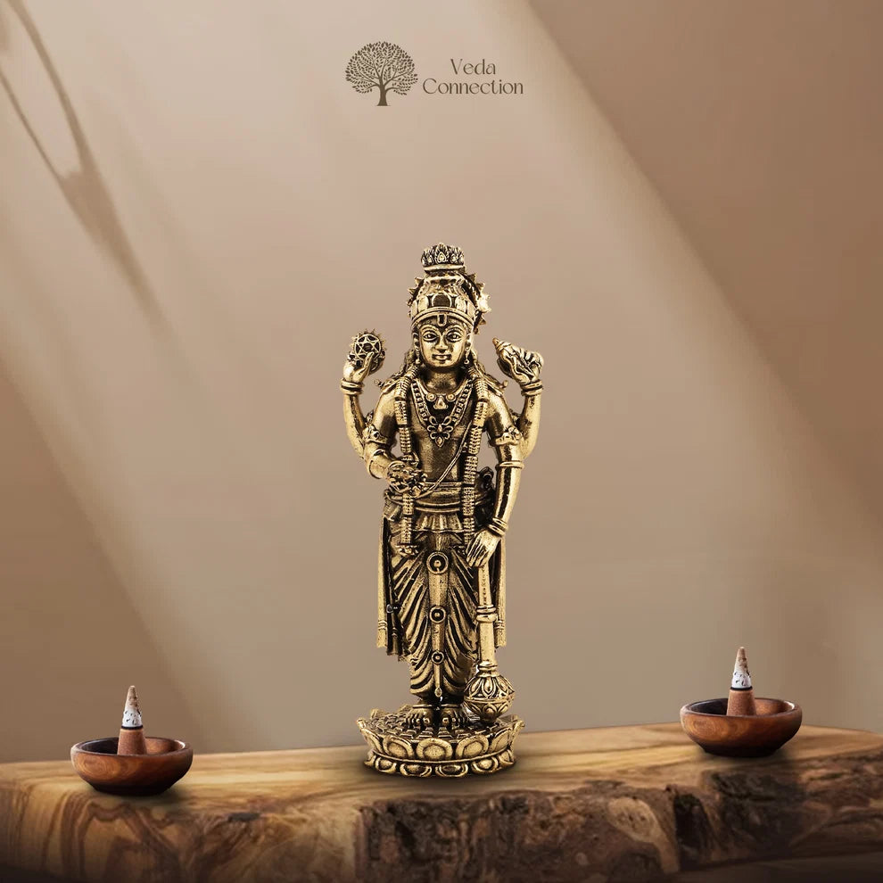 Brass Vishnu Ji Idol