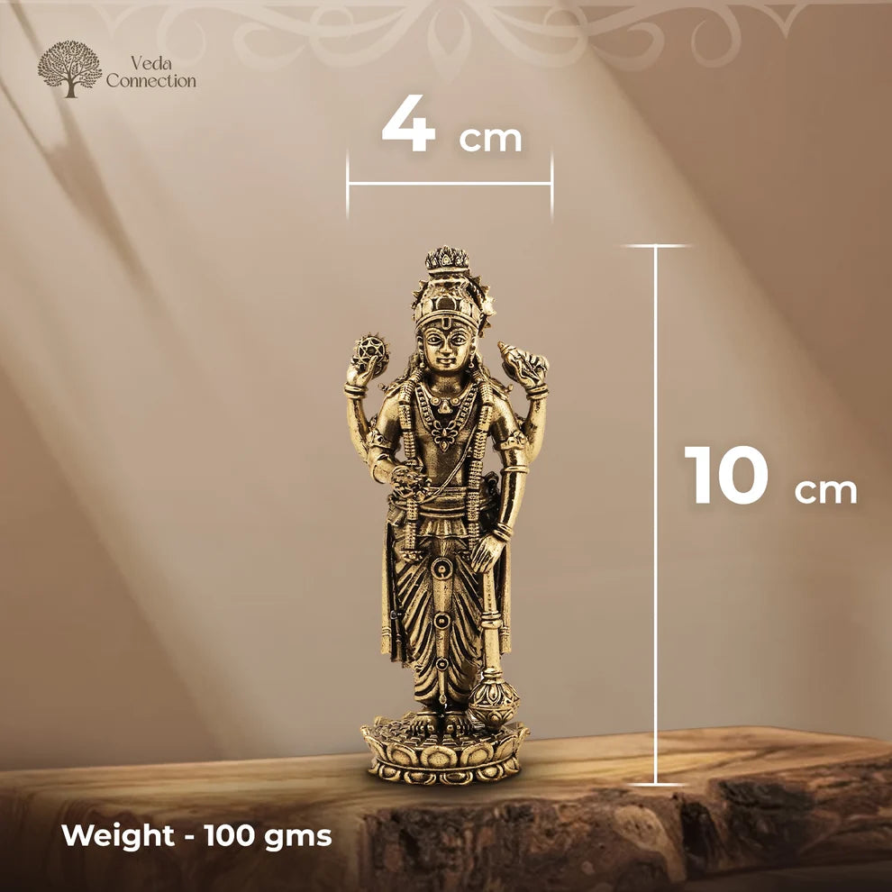 Brass Vishnu Ji Idol