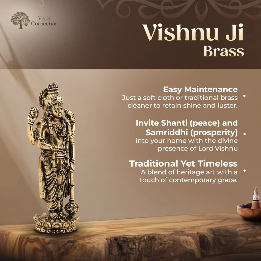 Brass Vishnu Ji Idol