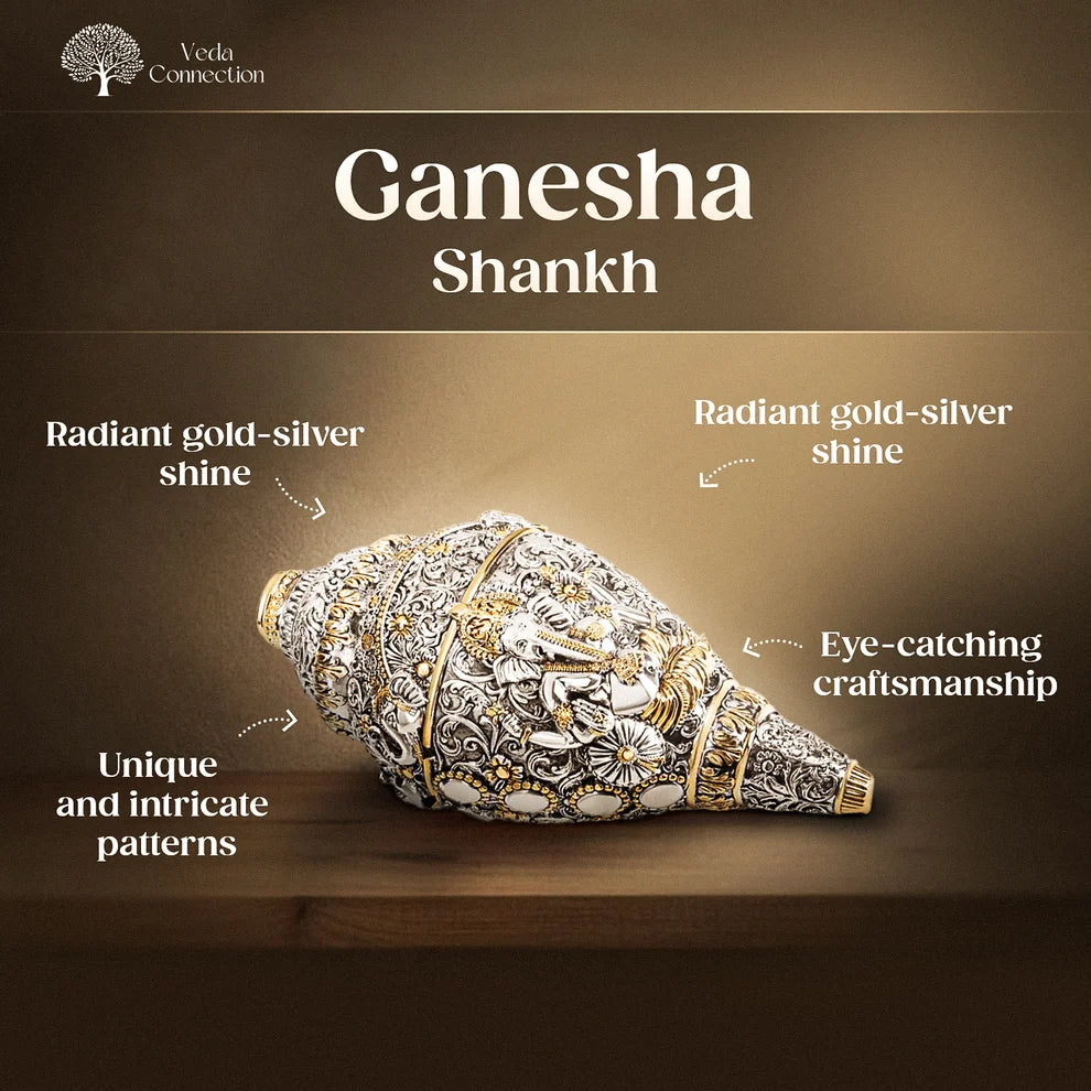 Ganesh Shankh (Conch) for Prosperity